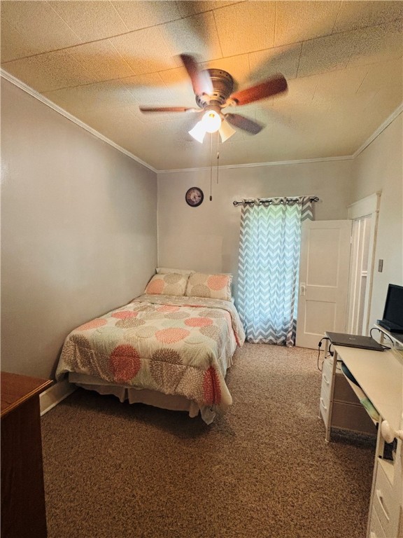 503 Garfield Street Property Photo 21