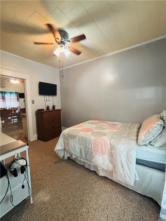 503 Garfield Street Property Photo 22