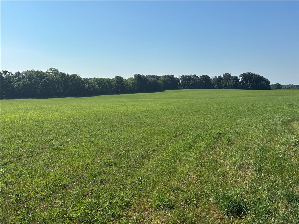 17156 E West Newell Road Property Photo 2