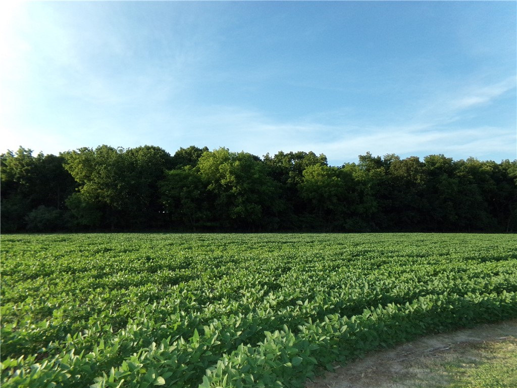 #11 Deer Lake Estates Property Photo 1