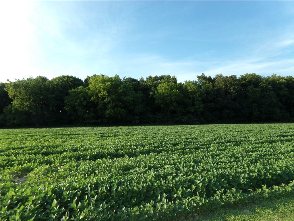 10 Deer Lake Estate Property Photo 1
