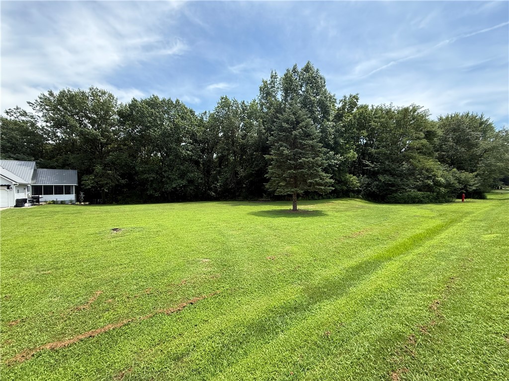 211 Brush Creek Drive Property Photo 8