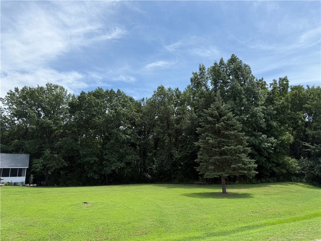 211 Brush Creek Drive Property Photo 9