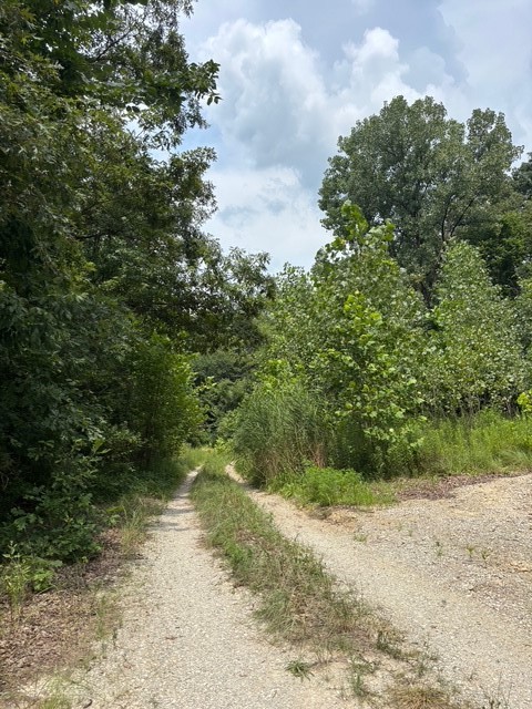 Rt 130 Street Property Photo 3