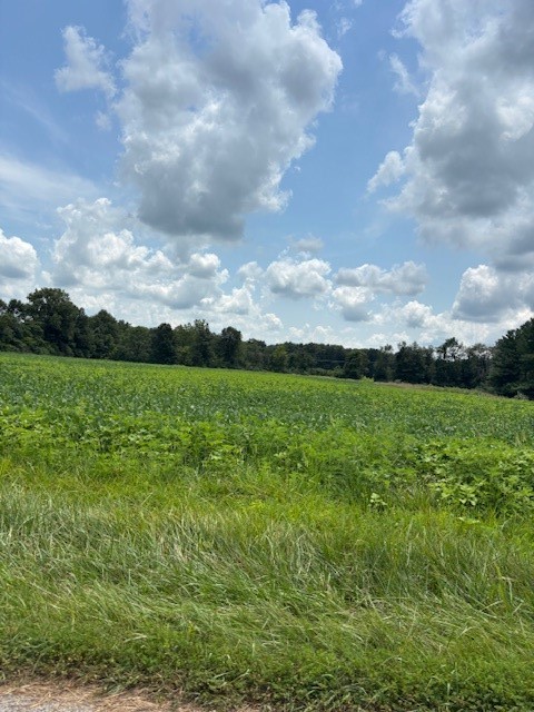 Rt 130 Street Property Photo 6