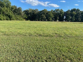 452 Beyers Lake Estate Property Photo 1