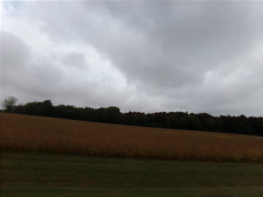 7 Deer Lake Estate Property Photo 3