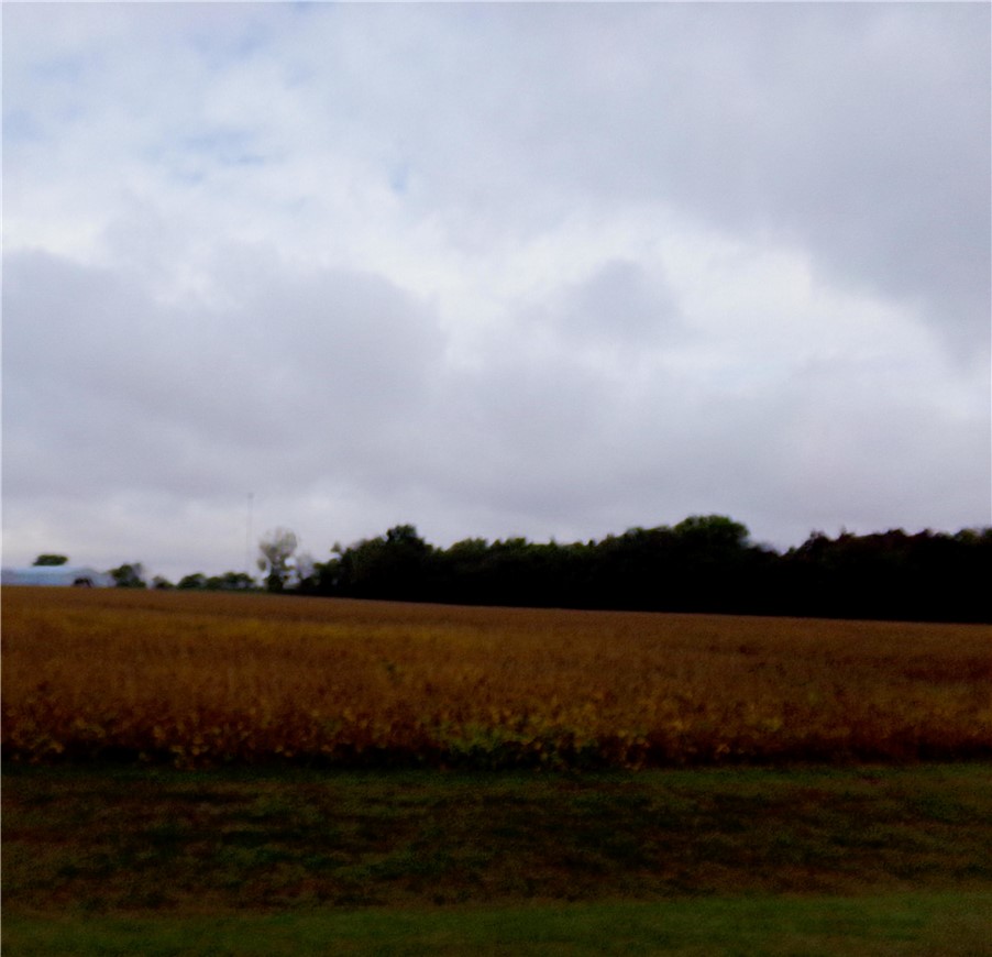 7 Deer Lake Estate Property Photo 4