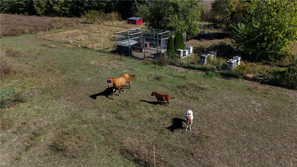 30149 N 1850 East Road Property Photo 9