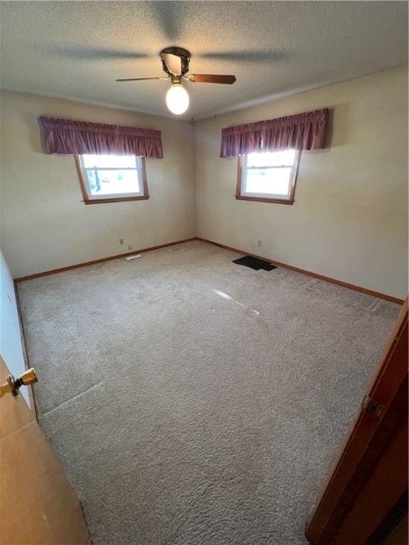 307 Gehle Street Property Photo 22