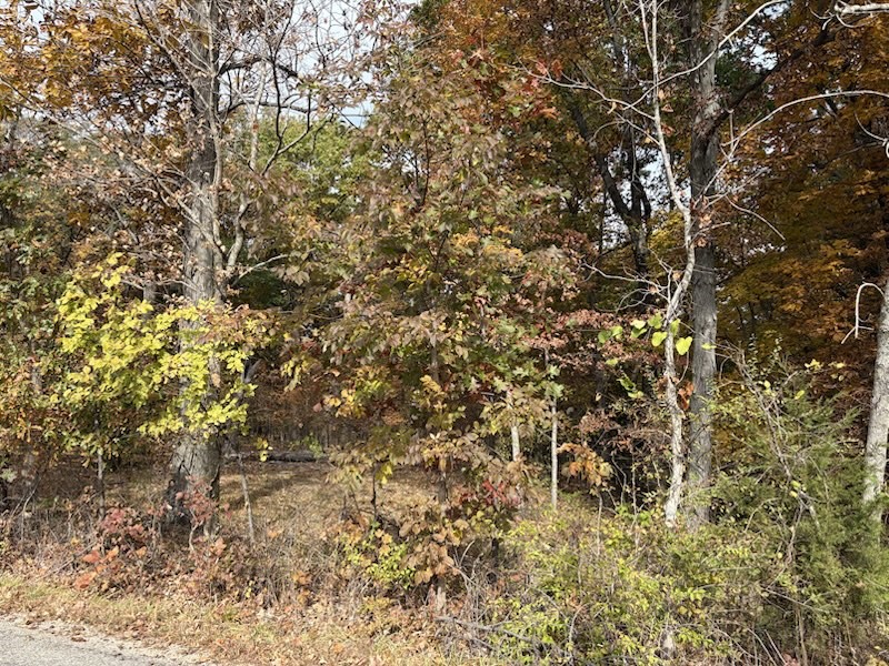 1520 E Cr 420n Road Property Photo 1