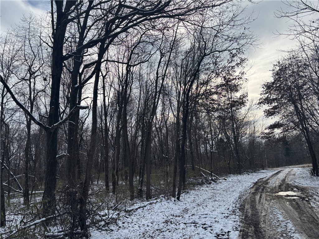 Il Route 1 Property Photo 7