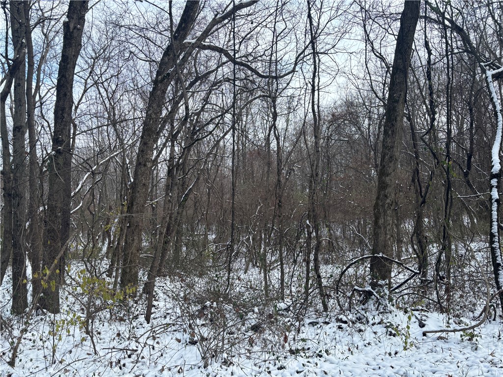 Il Route 1 Property Photo 7