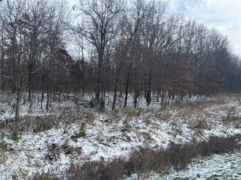 Il Route 1 Property Photo 8