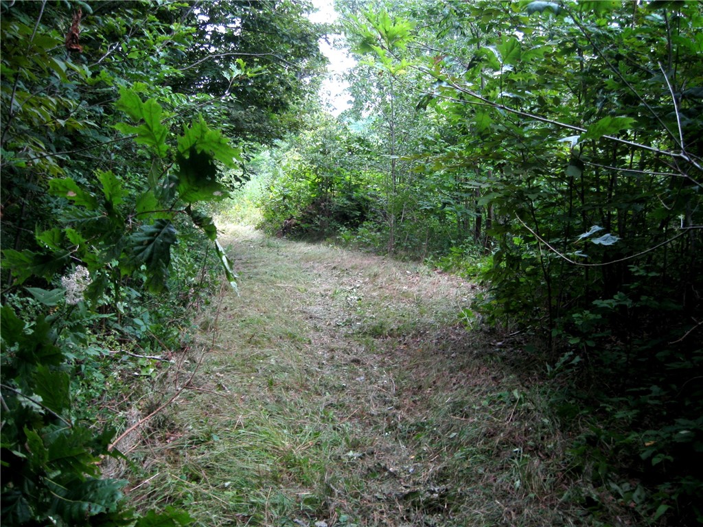 Peaceful Court Property Photo 1