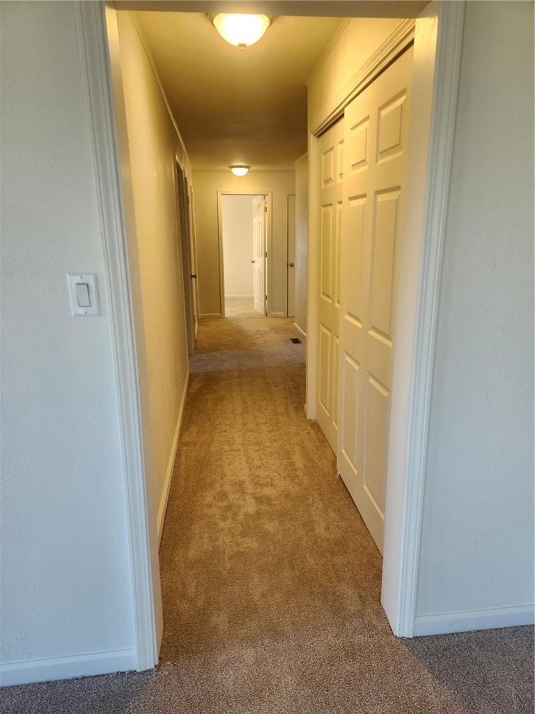15825 Clingan Lane Property Photo 22