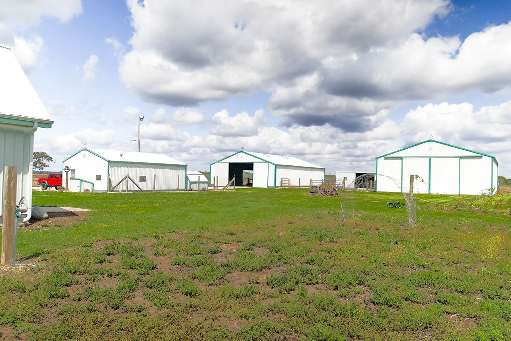 1073 Catlin Homer Road Property Photo 37