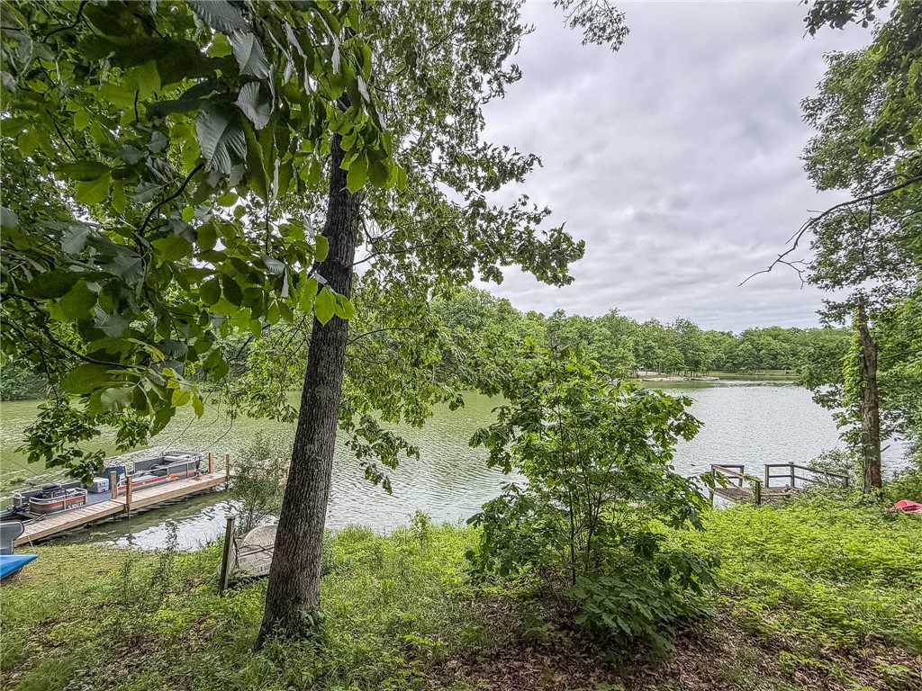 14929 Lakeshore Property Photo 19