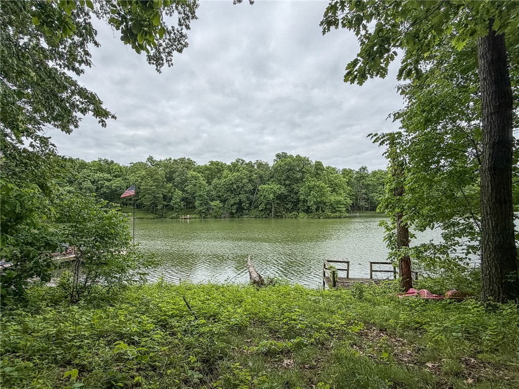14929 Lakeshore Property Photo 20