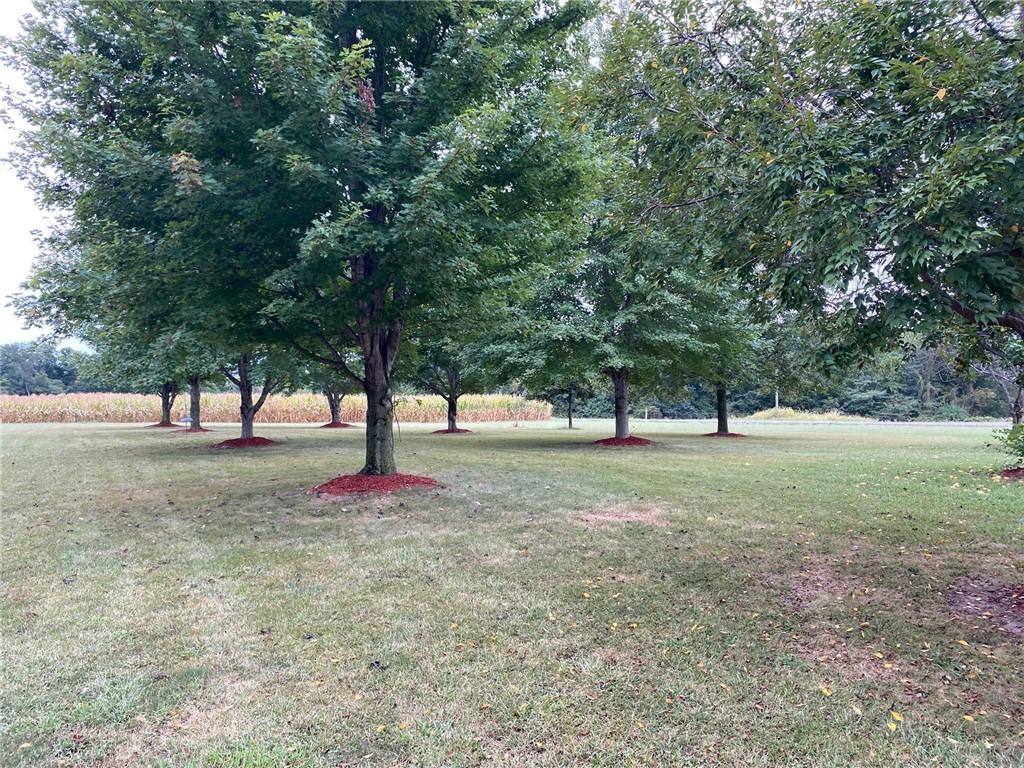19484 N State Highway 32 Highway Property Photo 46