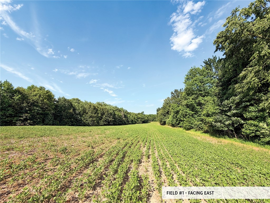 825th Street Property Photo 10