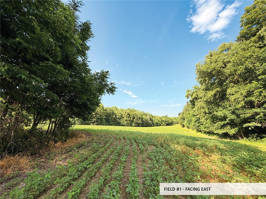 825th Street Property Photo 11
