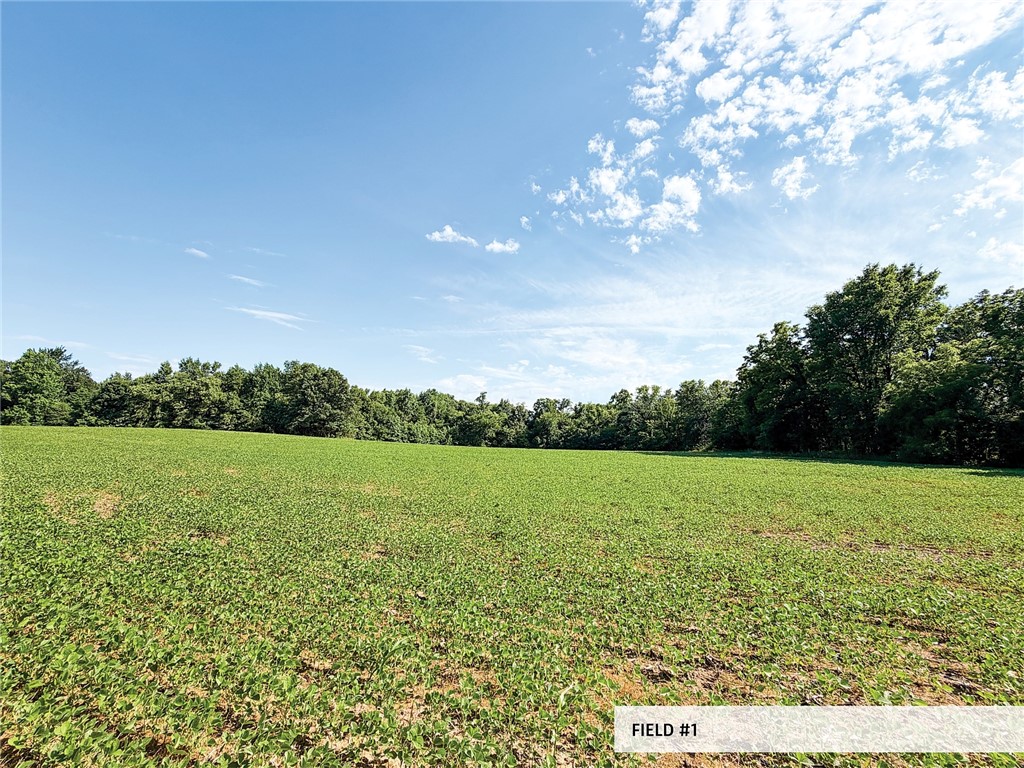 825th Street Property Photo 13