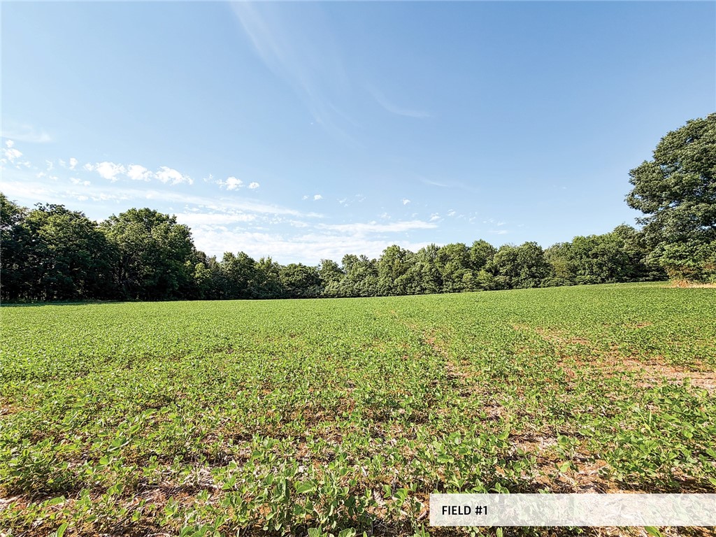 825th Street Property Photo 16