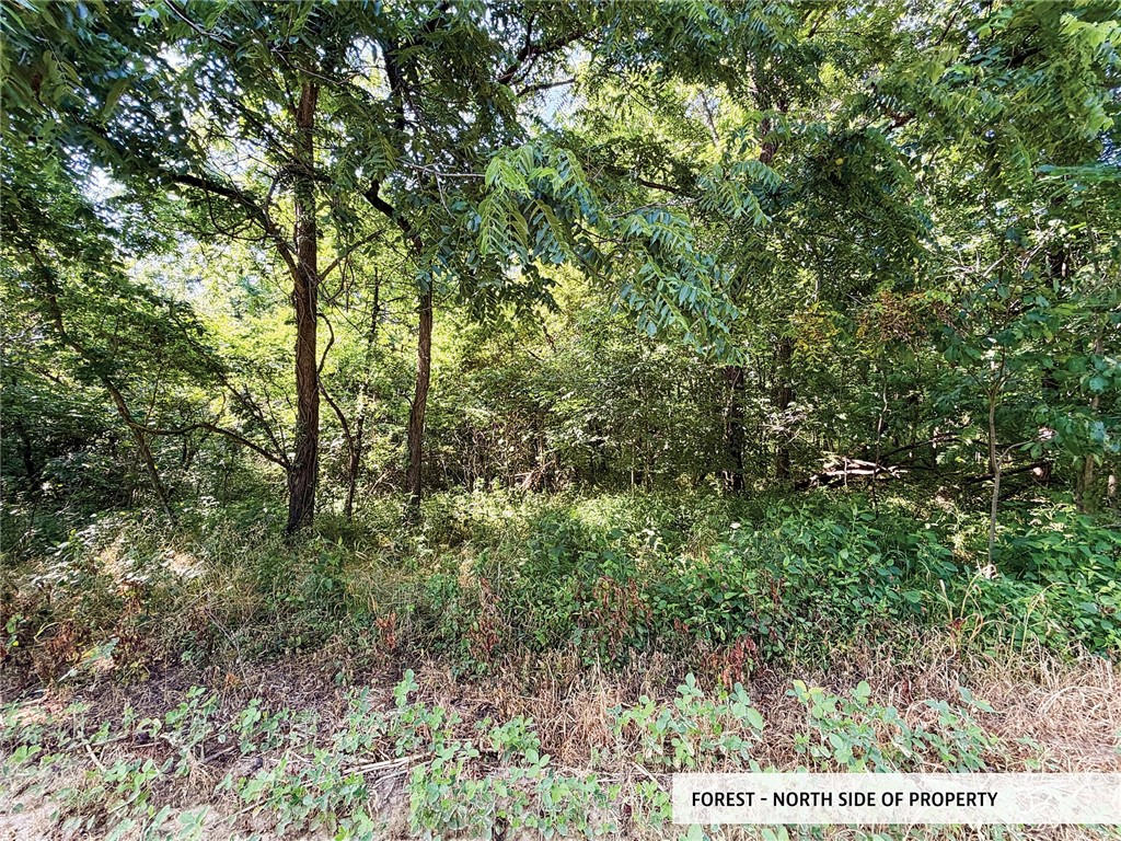 825th Street Property Photo 17