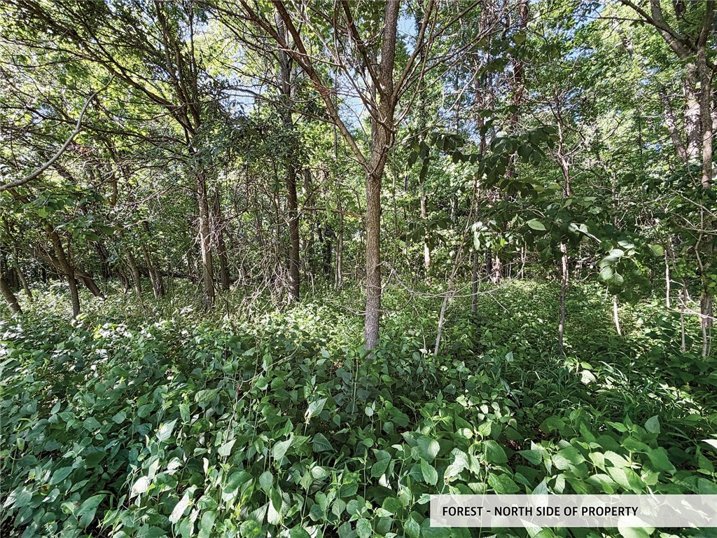 825th Street Property Photo 19