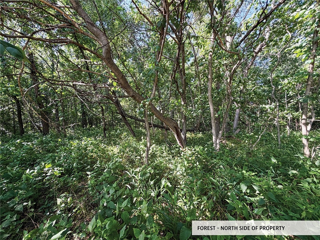 825th Street Property Photo 21