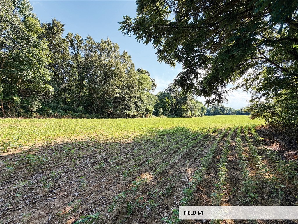 825th Street Property Photo 27