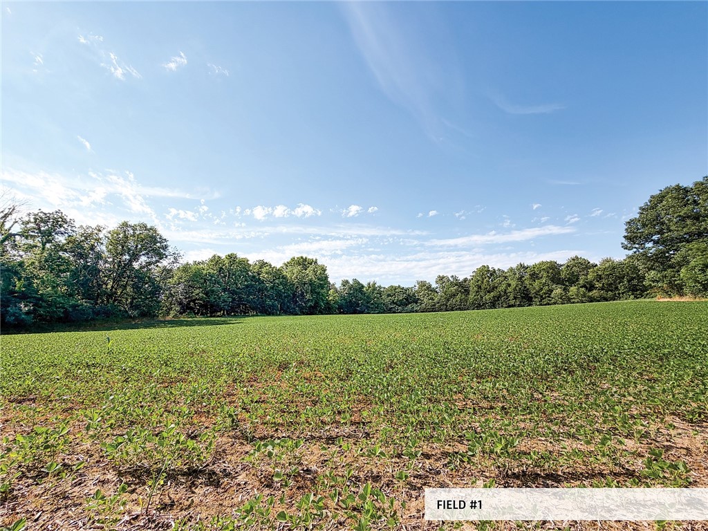 825th Street Property Photo 28