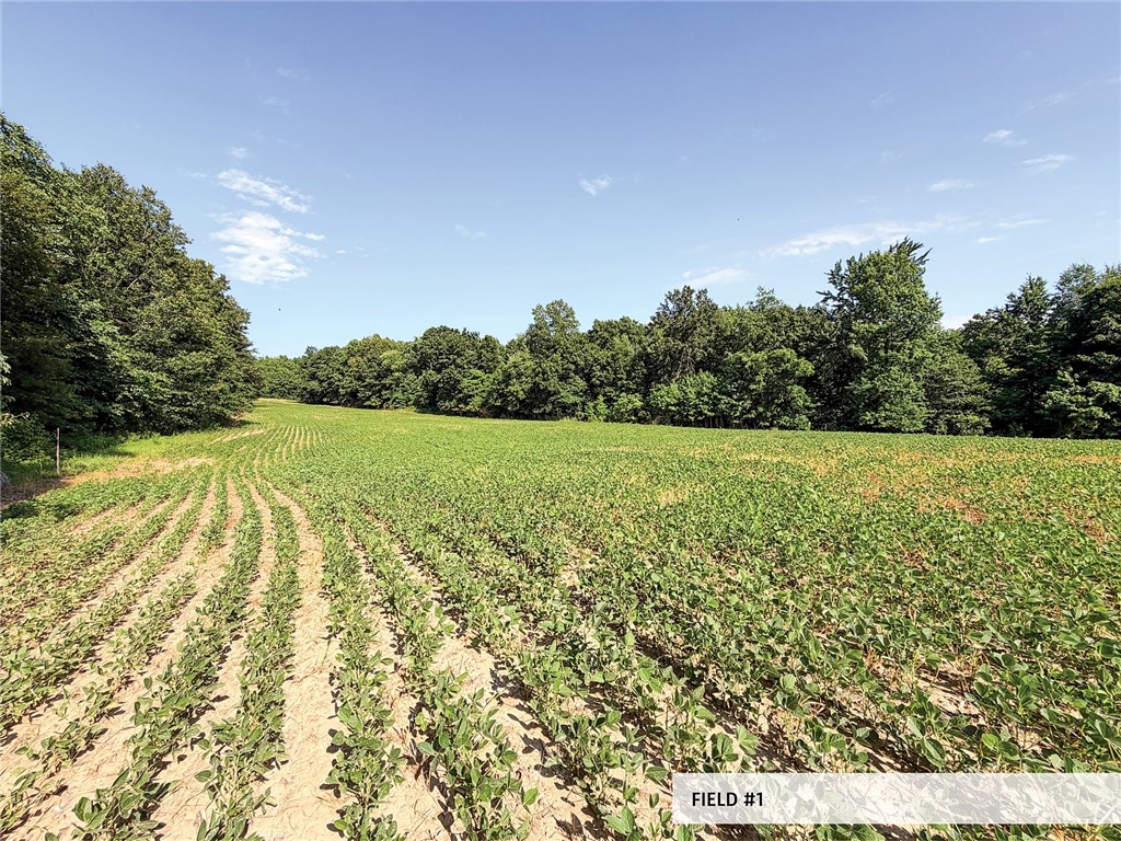 825th Street Property Photo 30