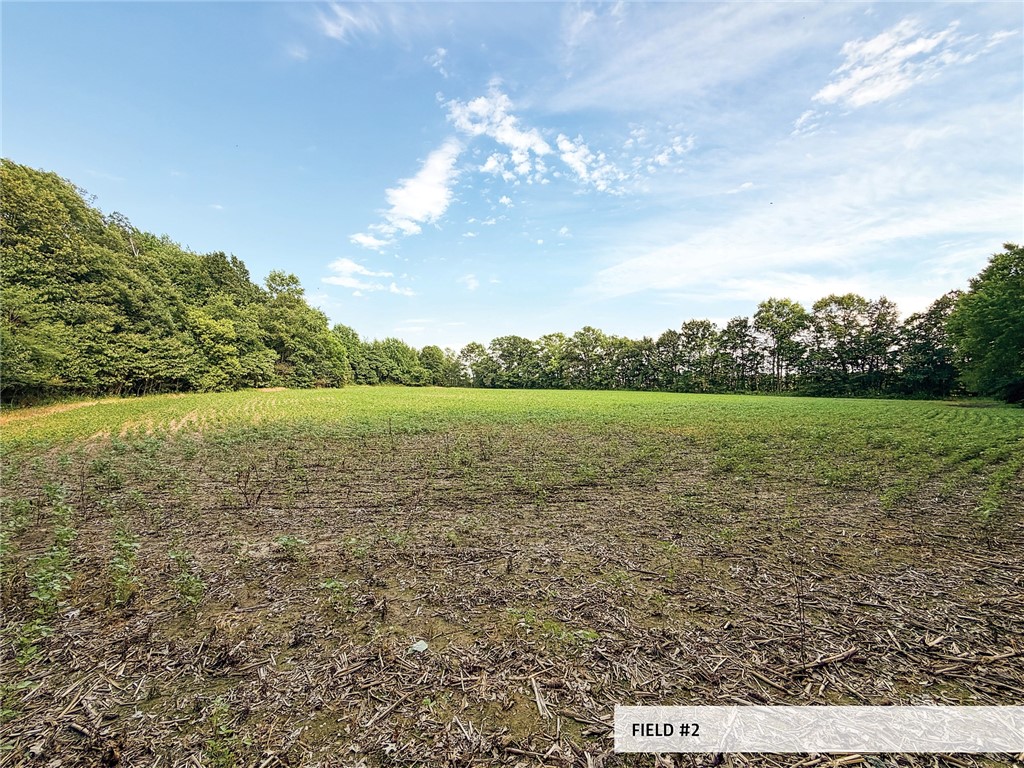 825th Street Property Photo 37