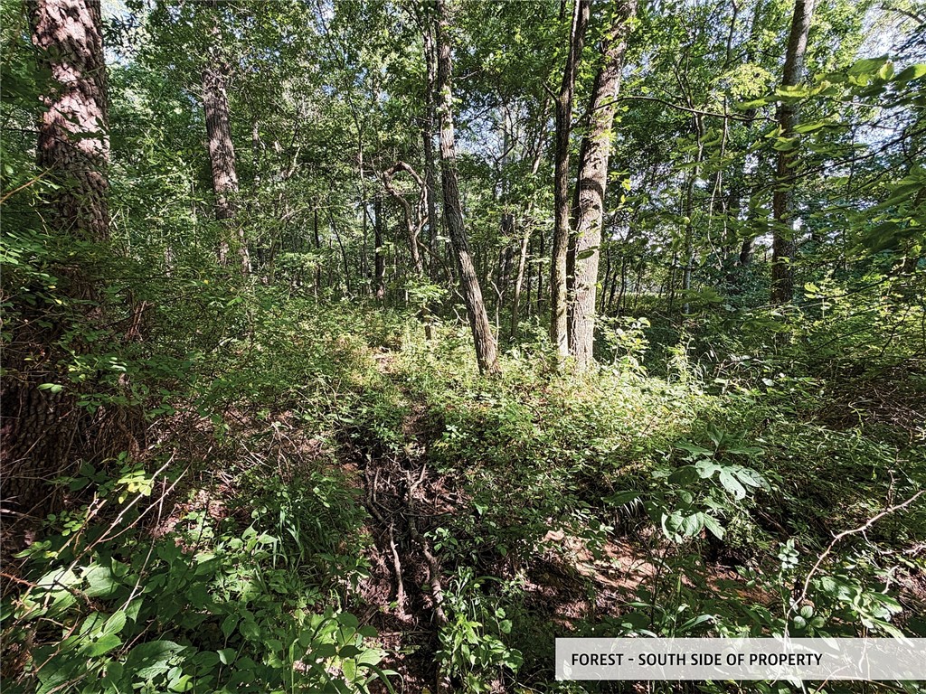 825th Street Property Photo 45