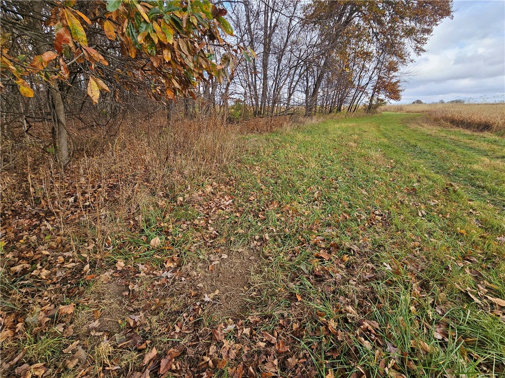- 1100 N Road Property Photo 8