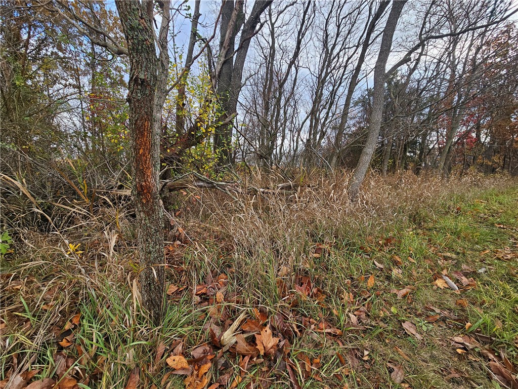 - 1100 N Road Property Photo 9