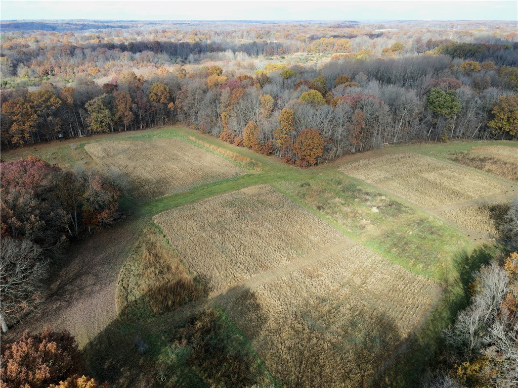 - 1100 N Road Property Photo 20