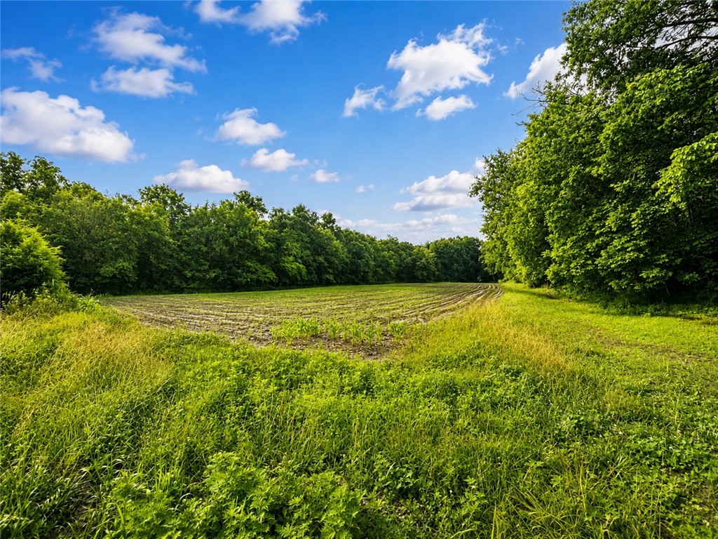 1270 E County Road Property Photo 1