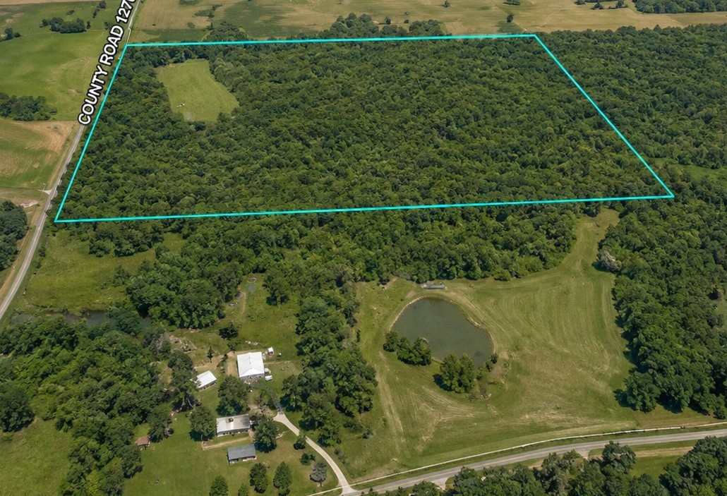 1270 E County Road Property Photo 4
