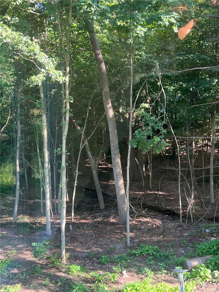 13741 Mcgee Road Property Photo 10