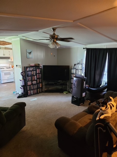 2419 Dunn Drive Property Photo 4