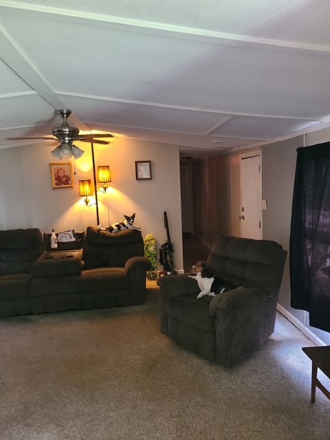 2419 Dunn Drive Property Photo 5