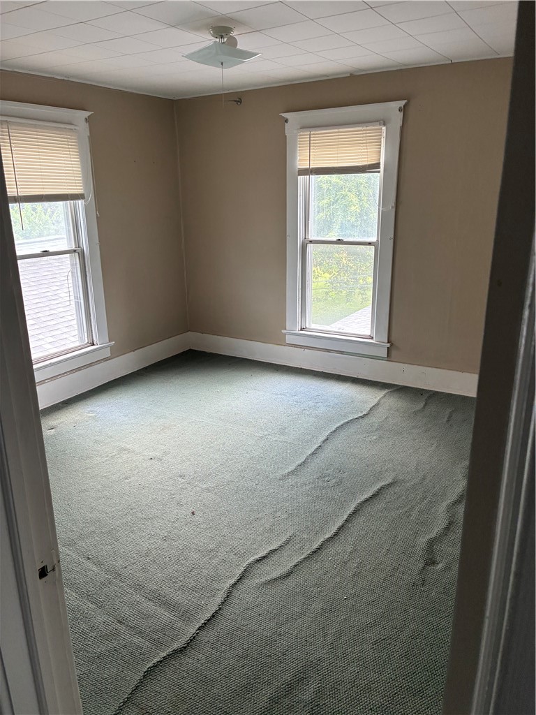 411 Seminary Avenue Property Photo 22