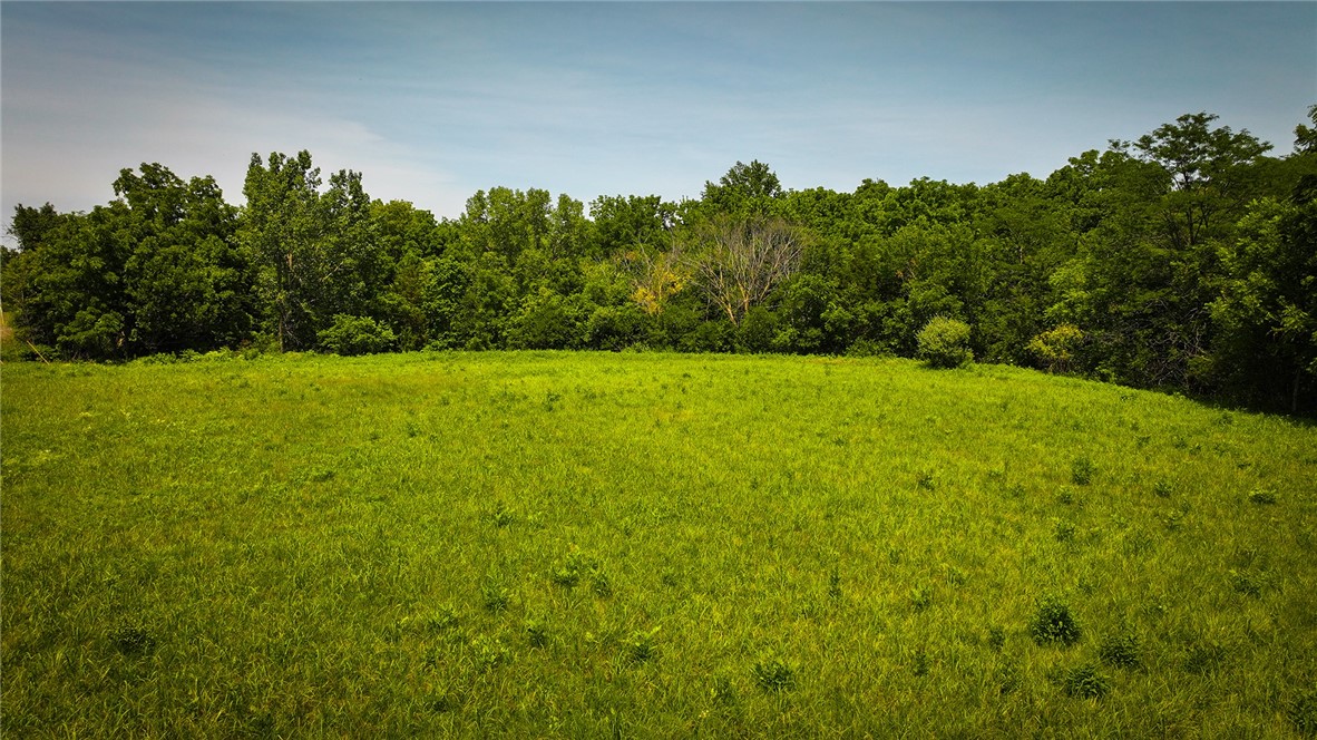 White Oak Street Property Photo 5