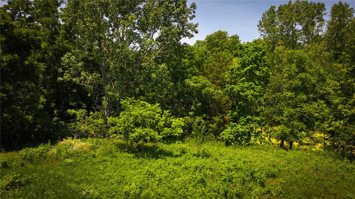 White Oak Street Property Photo 6