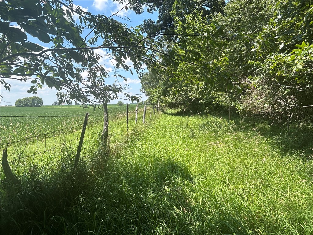 1249 E 600 North Road Property Photo 29
