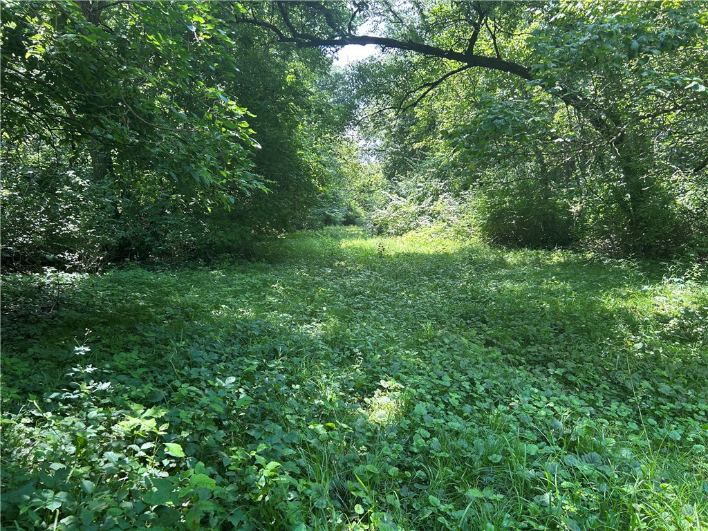 1249 E 600 North Road Property Photo 32