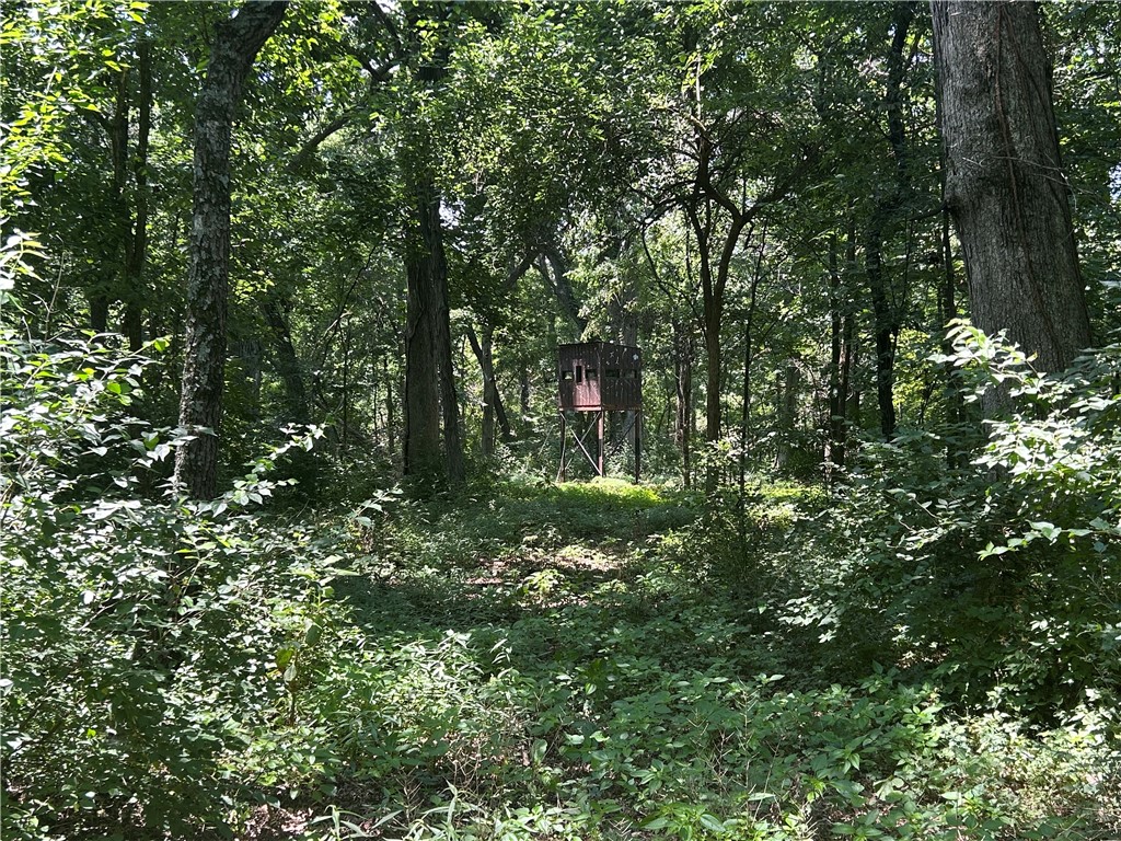 1249 E 600 North Road Property Photo 34